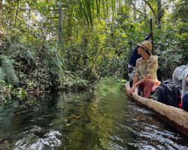 Journey to the Heart of the Congo Basin Photo 7