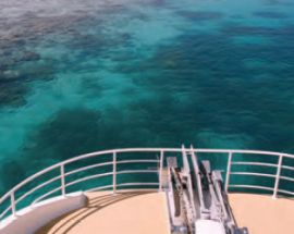 Western Australia's Rowley Shoals Photo 4