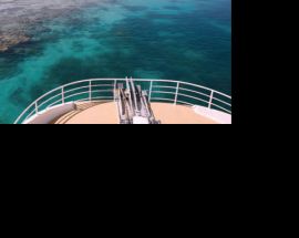 Western Australia's Rowley Shoals Photo 15