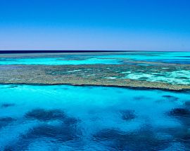 Western Australia's Rowley Shoals Photo 6