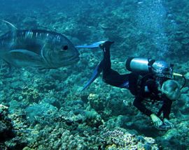 Western Australia's Rowley Shoals Photo 1