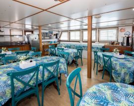Eco Abrolhos Photo 4
