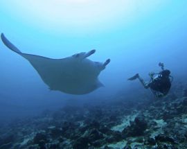 Best of the Maldives Photo 6