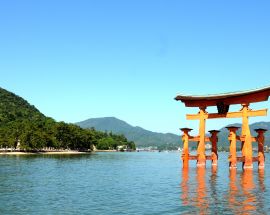 Cherry Blossoms of Japan Photo 7