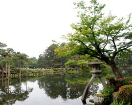 Cherry Blossoms of Japan Photo 11