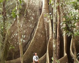 Voyage to the Heart of the Brazilian Amazon Photo 7