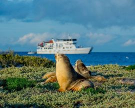 Abrolhos Islands Discovery Photo 1