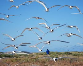 Abrolhos Islands Discovery Photo 6
